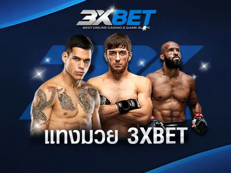 แทงมวย-3xbet